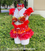 Phoenix Inspired outfit set ,Rave wear, EDC, Music festival, Cosplay, Halloween costumes